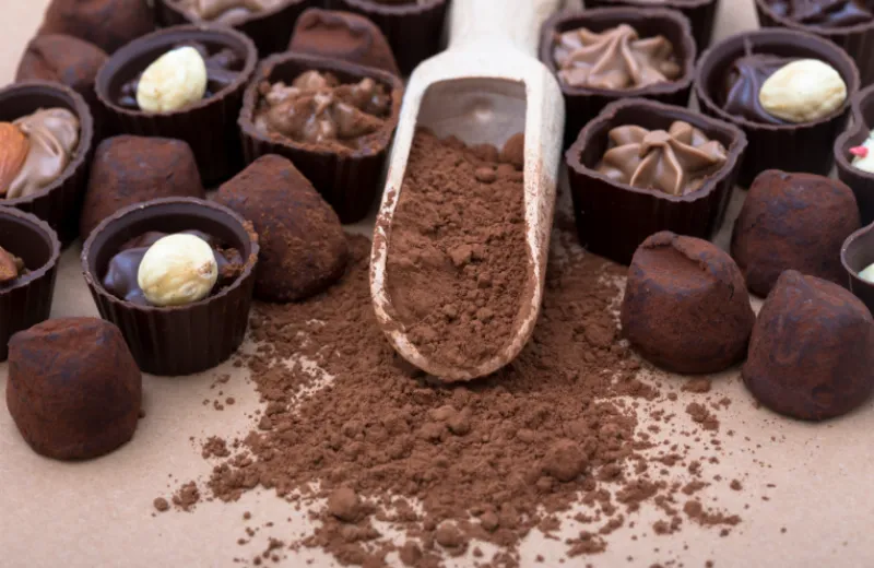 Soja-eiwitisolaat in chocolade